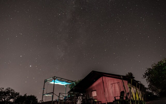 Safari Tent With Private Pool in Albufeira