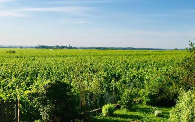 Appartement avec vue sur les vignes à Gevrey