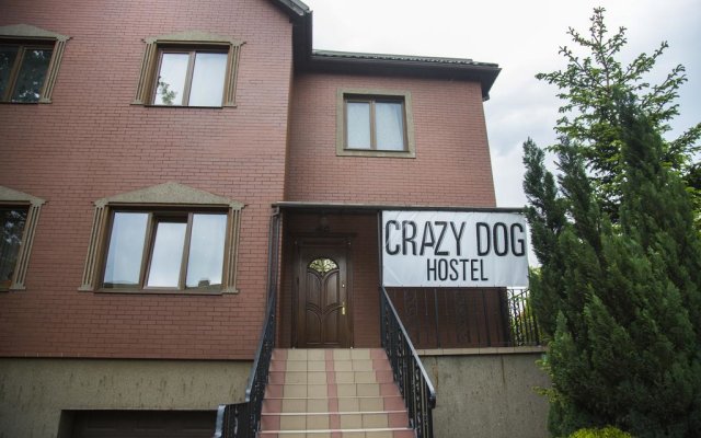 Crazy Dog Hostel