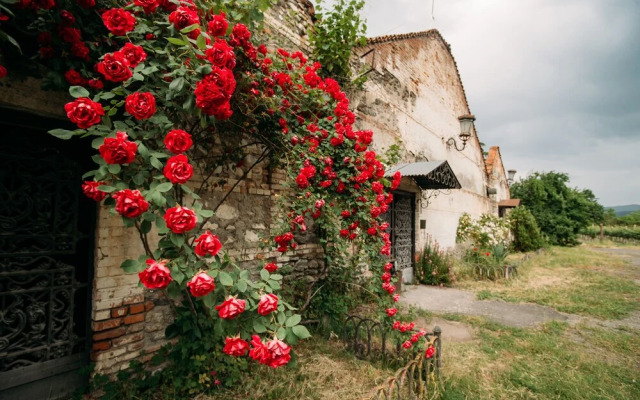 Chateau Eniseli