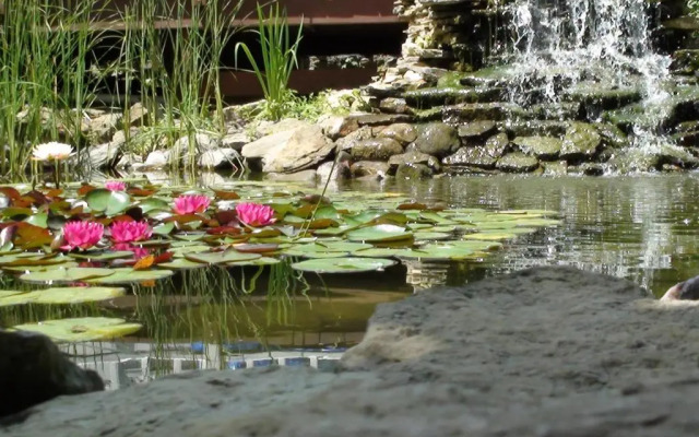 Trickling Waters Retreat