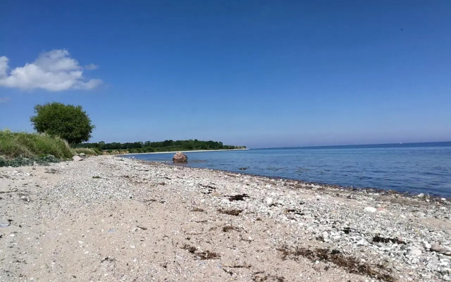 Taubennest