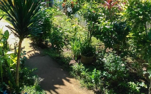 Panorama Backpackers