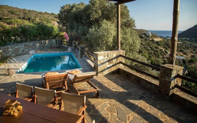 2AG252-House with a pool in Andros