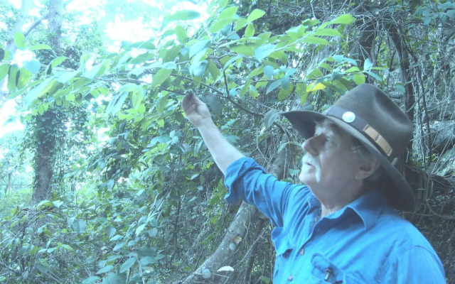 Bestbrook Mountain Resort