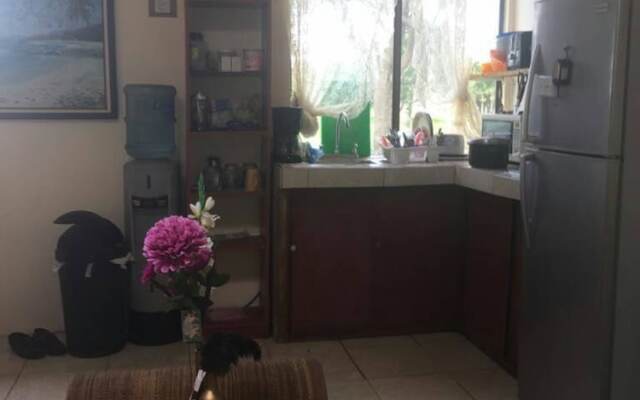 Apt 2 at Jorge Manuel National Park