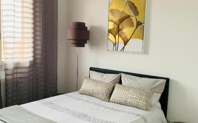 APPARTEMENT COEUR de ROANNE