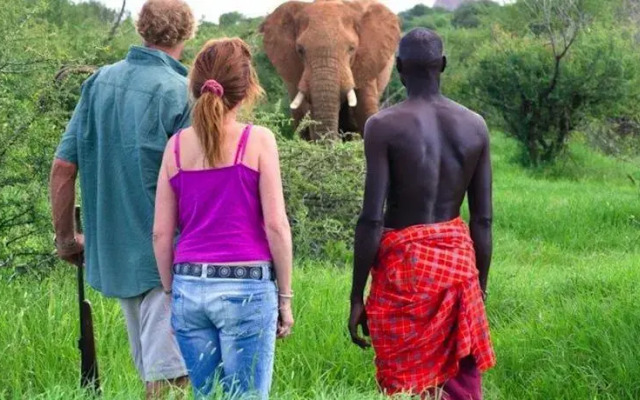 Laikipia Wilderness Camp
