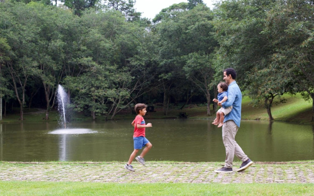 Almenat Embu das Artes, Tapestry Collection by Hilton