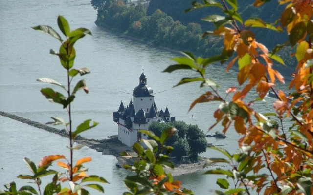 Weingut Am Löwenkopf