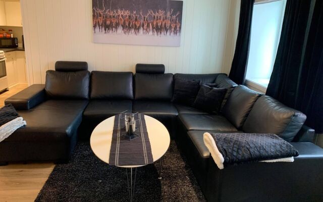 Notodden Sentrum Apartment No 1