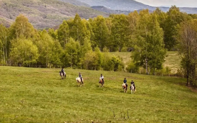 Agriturismo Il Poggio di Cantagallina
