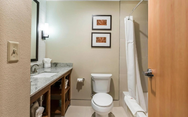 Comfort Suites University