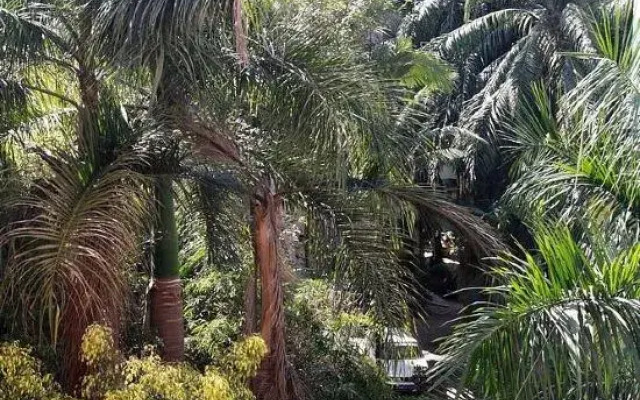 Xishuang Banna Jinglan Inn New