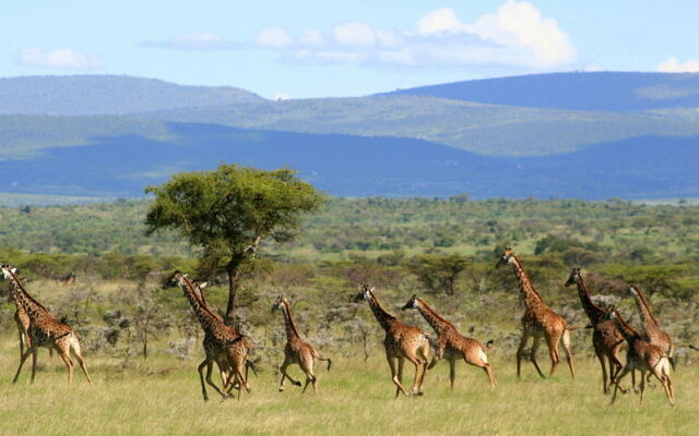 Naboisho Camp