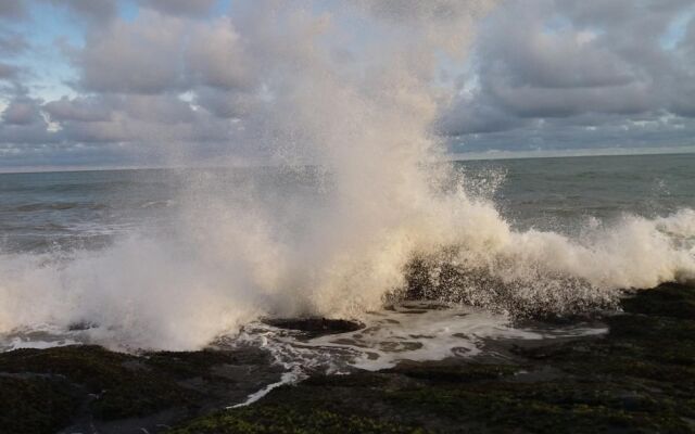 Heaven in Satin Woods Rekawa