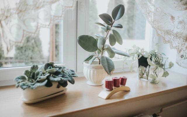 Wakacyjna przygoda w Gdyni