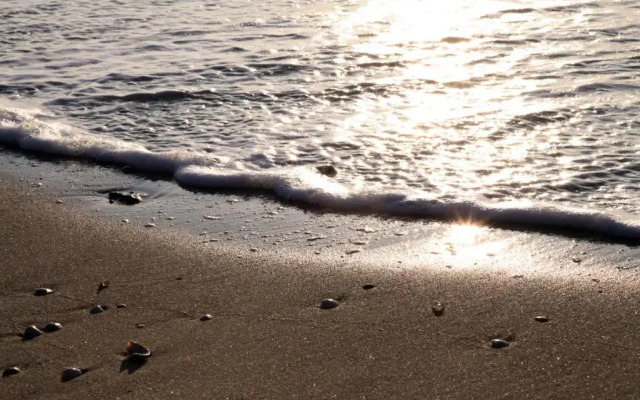 Hampton Home B&B Suite