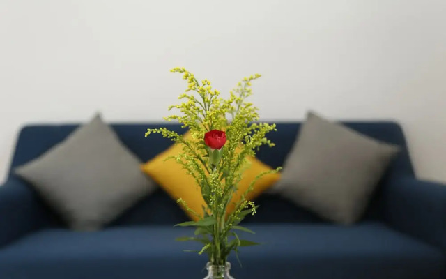 YOLO Apartment Homes