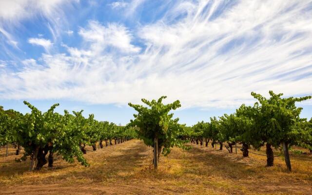Le Mas Barossa Valley