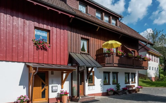 Luxurious Apartment in Todtnauberg With Terrace