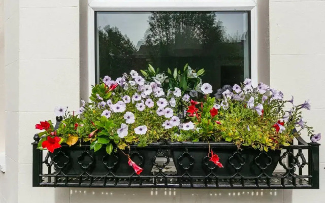 Cyprus View Apartment