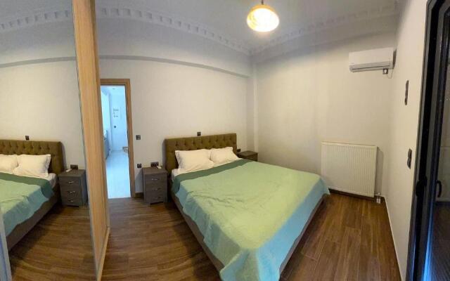 Deluxe furnished apartment (In the city center)