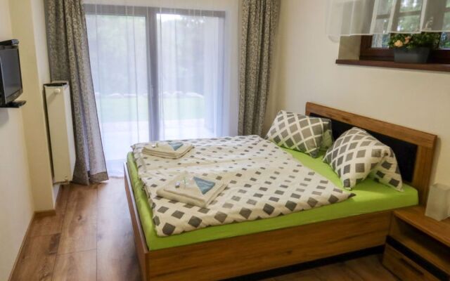 Apartment  Harrachov
