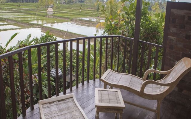 Citrus Tree Villas - Jean Francois