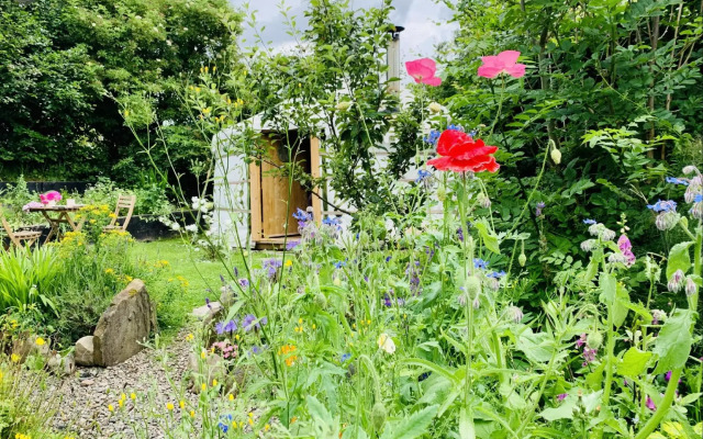 Wester Auchraw Croft B&B