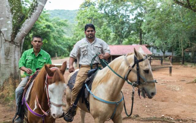 DuPlooys Jungle Lodge