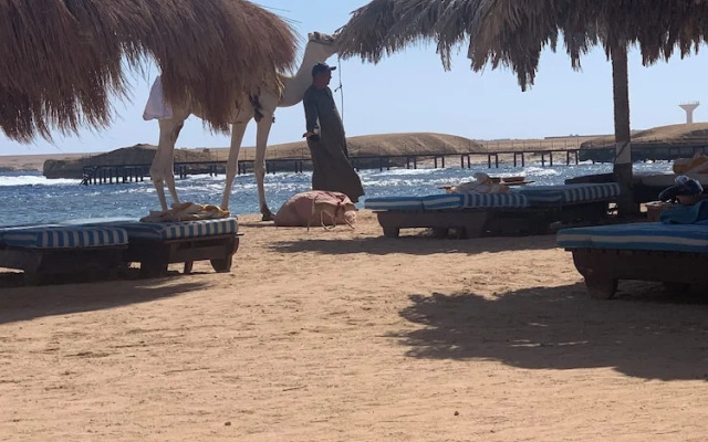 3-bed Sleeps 6 With Sea View & Free Parking