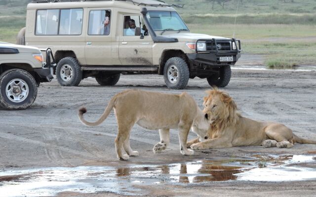 Stc.Safari lodge