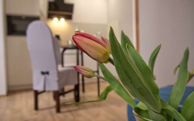 Rubens Guest House