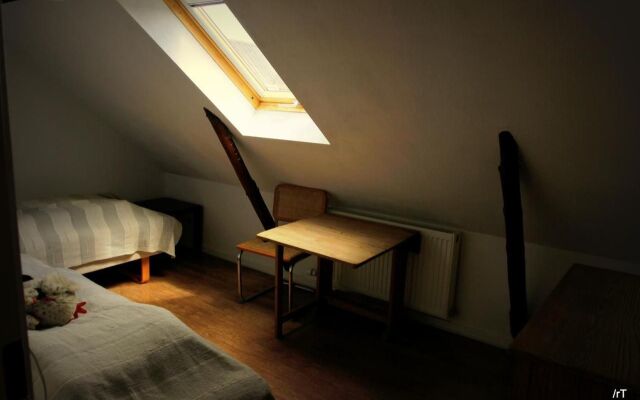 Stutteri Skandi Hest