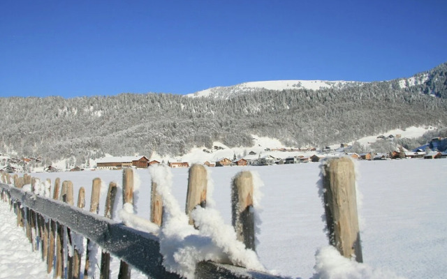 Spacious Apartment in Bizau With Garden