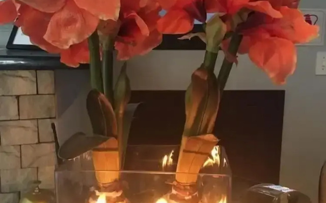 Uitzicht Guest house