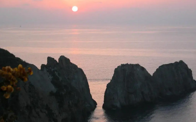 Casa Mita