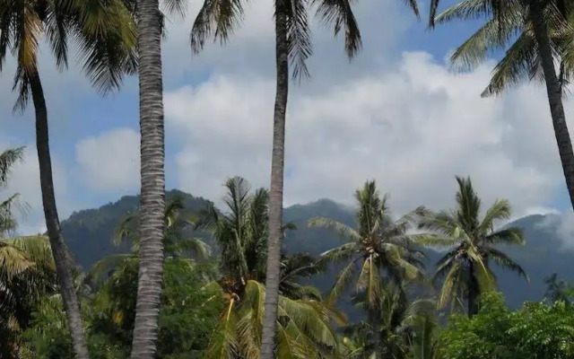 Rhipidura Bungalows