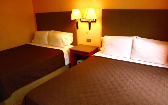 The Palm House Inn