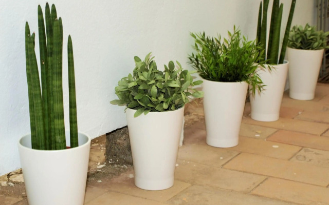 Apartamento en el Centro