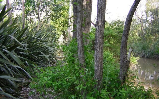 Reserva La Juana Ecolodge