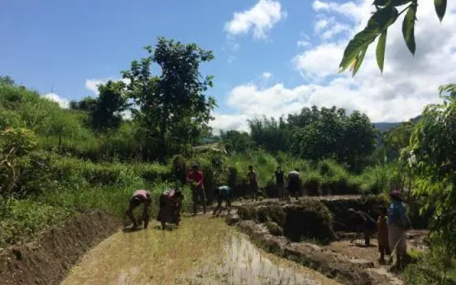 PaliGhar Farmstay