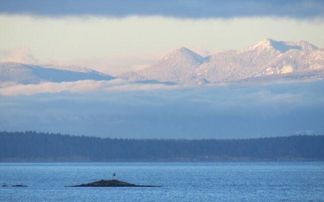 Coastal Lavender BnB