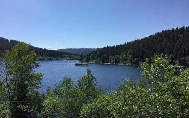 Ferienwohnung-Schwarzwald-in-der-Pension-Gloecklehof