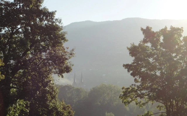 Wieshof - Camping Appartements Chalet