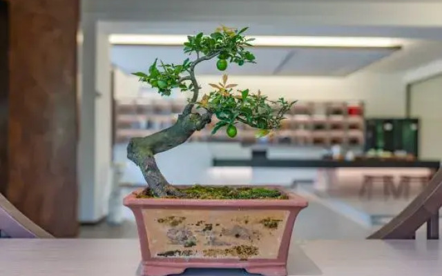 Xianju Yishe Encounter B&B