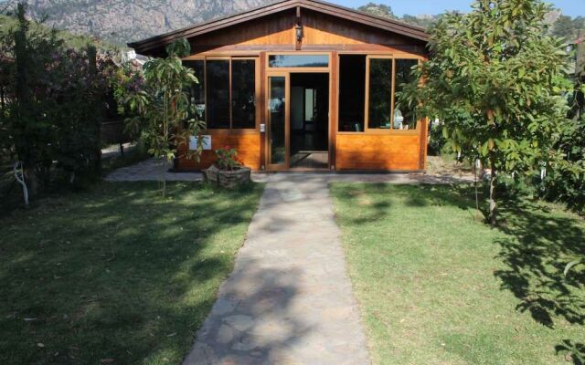 Sakin Vadi Winehouse