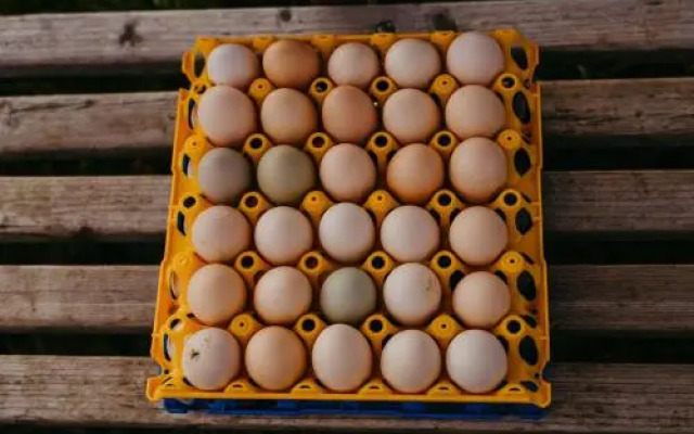 Ringhotel Johanniterbad