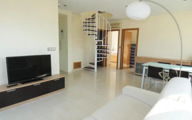 AP204 Renoir Oliva Nova